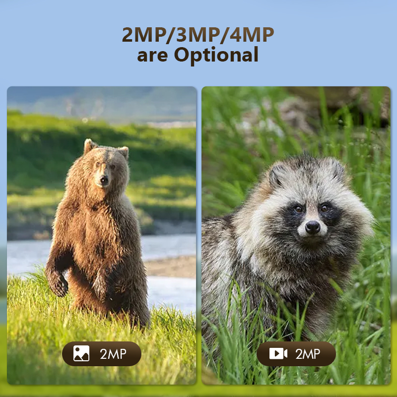 4G 4MP Outdoor Wildlife Huntin – Panel Power Outdoor Bewertung und Preis